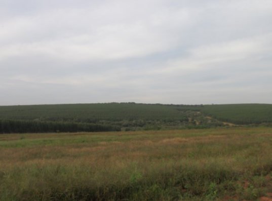 Propriedade Rural 20,88ha - Barrocão, Avaí/SP