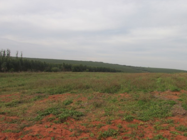 Propriedade Rural 27,80ha - Barrocão, Avaí/SP