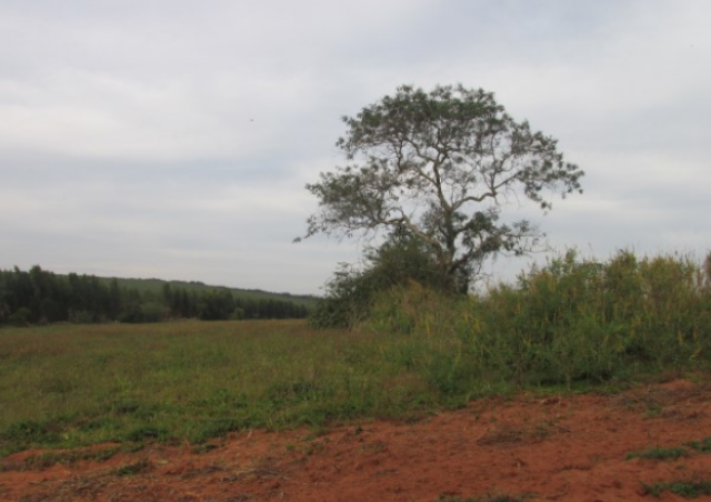 Propriedade Rural 27,80ha - Barrocão, Avaí/SP
