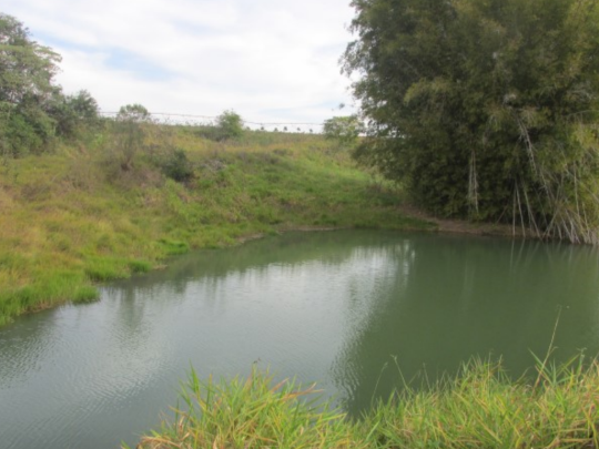 Propriedade Rural 27,80ha - Barrocão, Avaí/SP