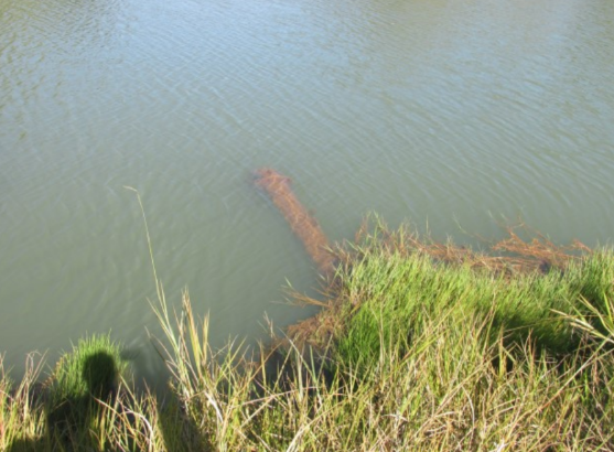 Propriedade Rural 27,80ha - Barrocão, Avaí/SP