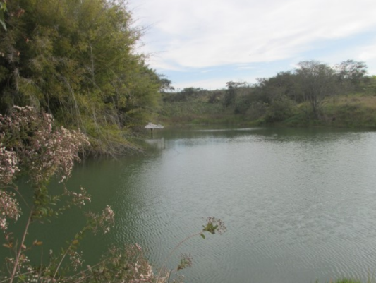 Propriedade Rural 27,80ha - Barrocão, Avaí/SP