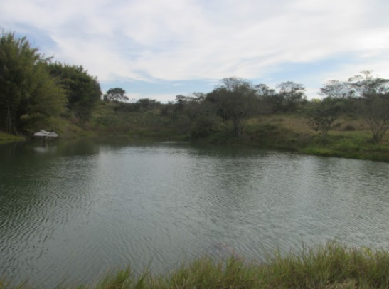 Propriedade Rural 27,80ha - Barrocão, Avaí/SP