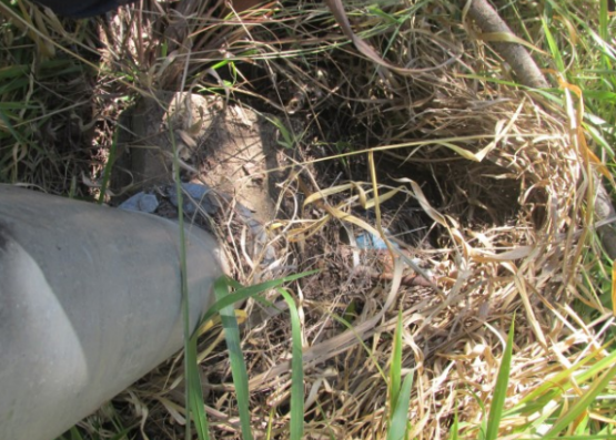 Propriedade Rural 27,80ha - Barrocão, Avaí/SP