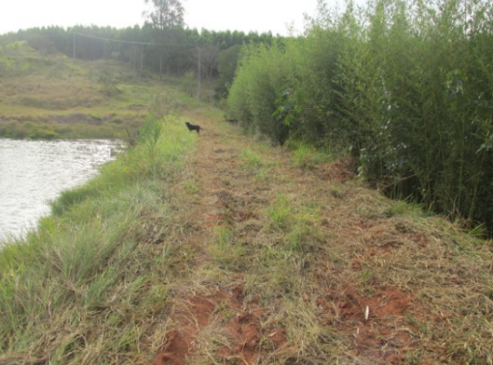 Propriedade Rural 27,80ha - Barrocão, Avaí/SP