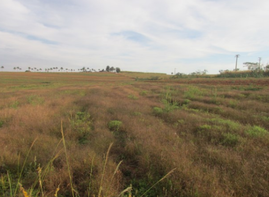 Propriedade Rural 27,80ha - Barrocão, Avaí/SP