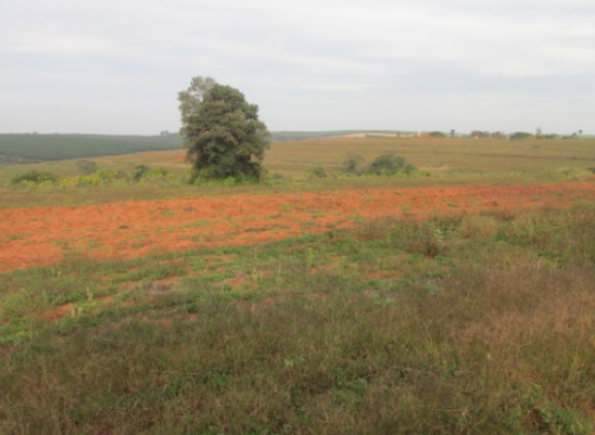 Propriedade Rural 27,80ha - Barrocão, Avaí/SP