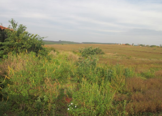 Propriedade Rural 27,80ha - Barrocão, Avaí/SP