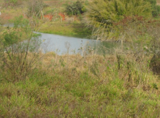 Propriedade Rural 27,80ha - Barrocão, Avaí/SP