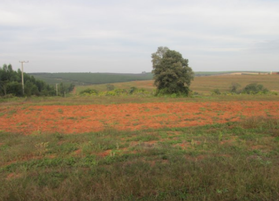 Propriedade Rural 27,80ha - Barrocão, Avaí/SP
