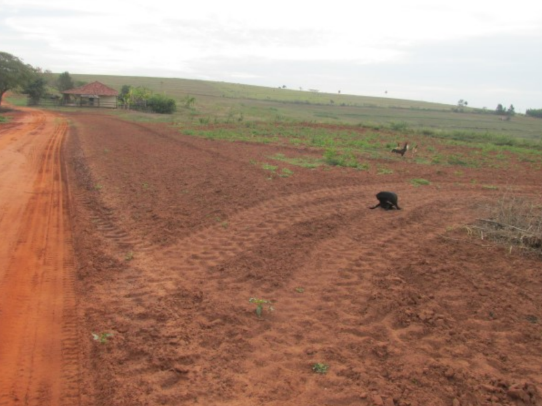 Propriedade Rural 41,32ha - Barrocão, Avaí/SP