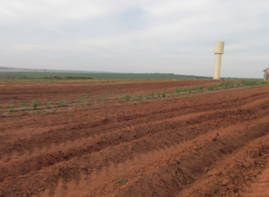 Propriedade Rural 41,32ha - Barrocão, Avaí/SP