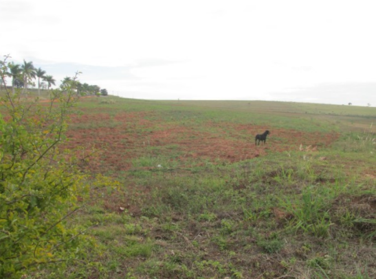 Propriedade Rural 41,32ha - Barrocão, Avaí/SP