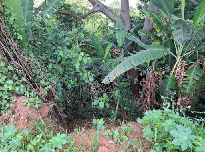 Terreno 6.640,00m² - Vila Belo Horizonte, Itapetininga/SP
