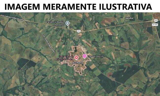 Imóvel Rural 6,64,75 has - Auriflama/SP