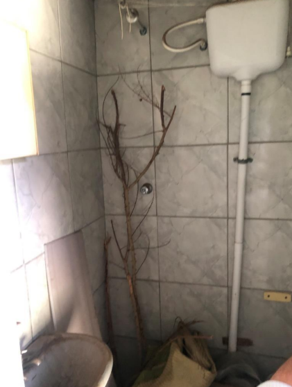 Casas 250,00m² - Higienópolis, Piracicaba/SP