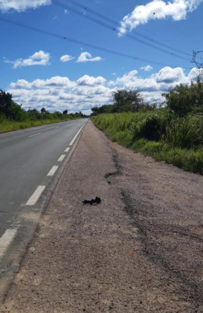 Galpões Área rural/Industrial 27ha - Charqueadas/RS