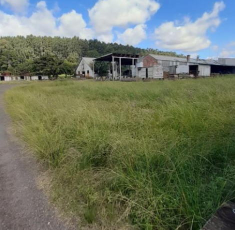 Galpões Área rural/Industrial 27ha - Charqueadas/RS
