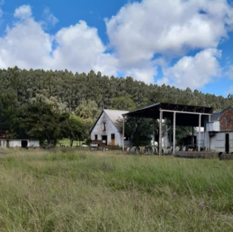 Galpões Área rural/Industrial 27ha - Charqueadas/RS