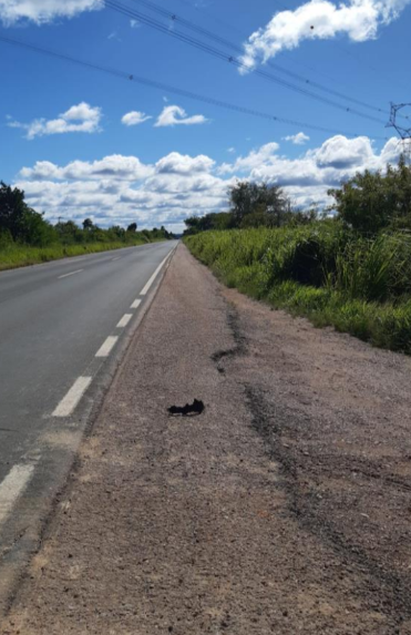 Galpões Área rural/Industrial 27ha - Charqueadas/RS