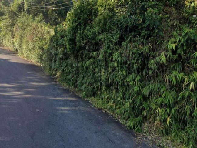 Terreno e Suas Benfeitorias 1.332m²- Estância Mirim, São Paulo/SP