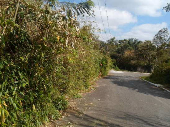 Terreno e Suas Benfeitorias 1.332m²- Estância Mirim, São Paulo/SP
