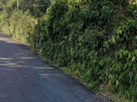Terreno e Suas Benfeitorias 1.332m²- Estância Mirim, São Paulo/SP