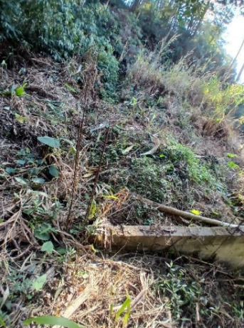 Terreno em Condomínio 1.002,50m² - Santana de Parnaíba/SP