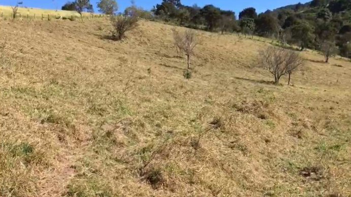 Gleba de Terras 69.900,00m²- Vargem do João Pinto, Extrema/MG