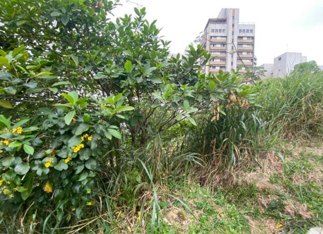 Terrenos 1.176,00m² e 640,00m² - Jardim Astúrias, Guarujá/SP
