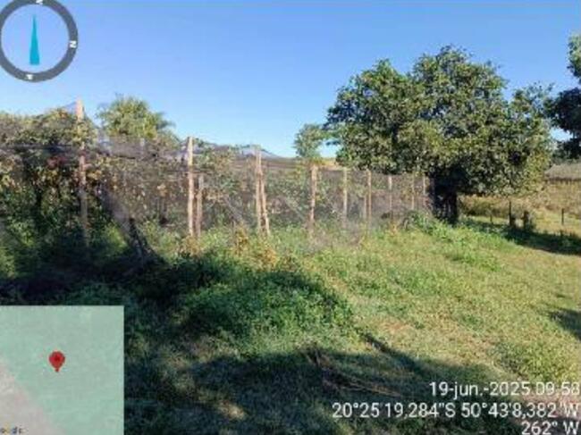 Imóvel Rural 12,10 has - Palmeira d'Oeste/SP