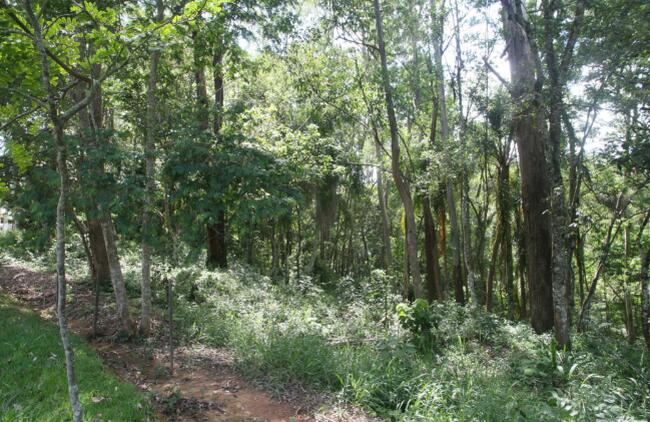 Lote em Condomínio 2.014,00m² - Jundiaí/SP