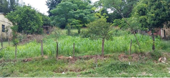 Terreno 808,50m² - Getúlio Vargas, São Francisco de Assis/RS