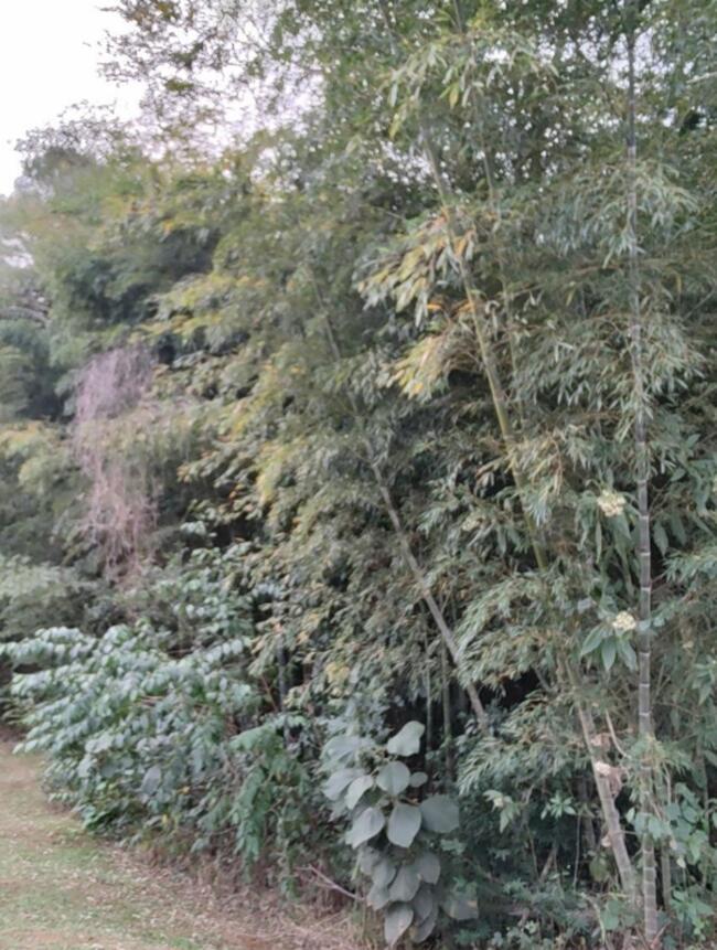 Terreno em Condomínio 1.364,00m² - Residencial Patrimônio Do Carmo, São Roque/SP