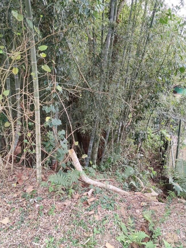Terreno em Condomínio 1.364,00m² - Residencial Patrimônio Do Carmo, São Roque/SP