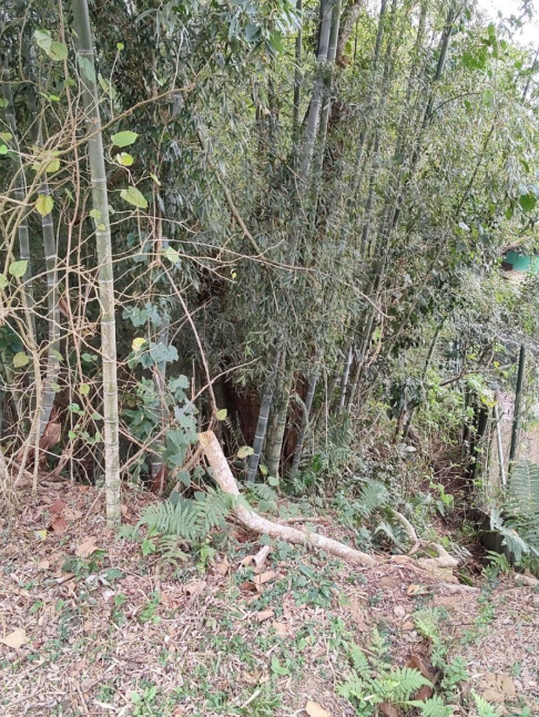 Terreno em Condomínio 1.364,00m² - Residencial Patrimônio Do Carmo, São Roque/SP — foto 3 de 4