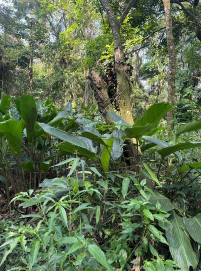 Terreno 1.075,00m²- Jardim Planalto, Caieiras/SP