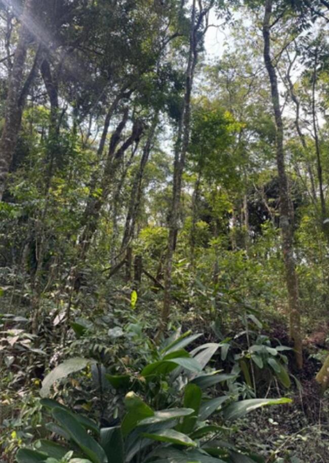 Terreno 1.075,00m²- Jardim Planalto, Caieiras/SP