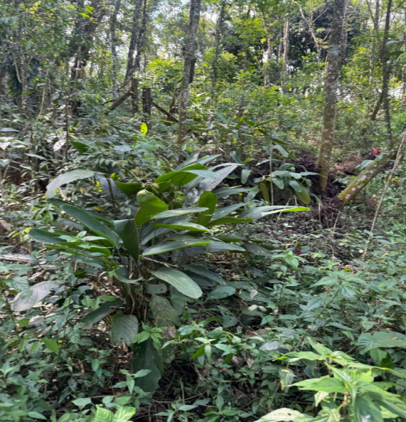 Terreno 1.075,00m²- Jardim Planalto, Caieiras/SP