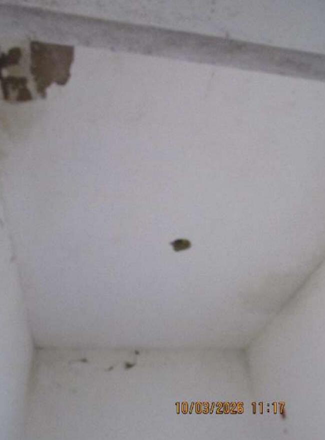 Casa Em Condomínio 1.157,06m² - Jardim Das Paineras, Itatiba/sp, localizado em Itatiba - SP