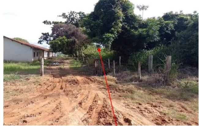 Sítio 11,59,86ha - Área Rural, Mococa/sp, localizado em Mococa - SP