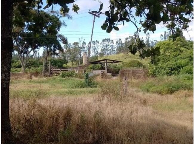 Sítio 11,59,86ha - Área Rural, Mococa/sp, localizado em Mococa - SP
