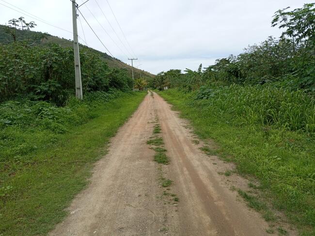 Terreno/lote - Vale da Figueira