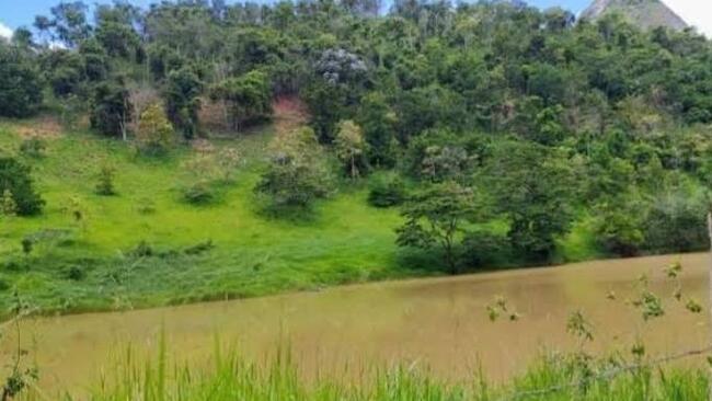 FAZENDA | 118,22 HECTARES | CÓRREGO RIO VERMELHO - OURO VERDE DE MINAS/MG R$ 150.000,00