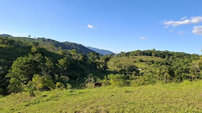 FAZENDA | CONJUNTO BELO HORIZONTE | A.T 201 HECT. | AIQUARA | BAHIA - R$1.708.500