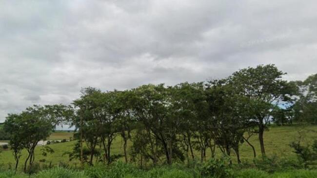 IMÓVEL RURAL | 97,50 HECTARES | FAZENDA SÃO JOÃO - SANTANA DA VARGEM/MG R$ 3.250.000,00