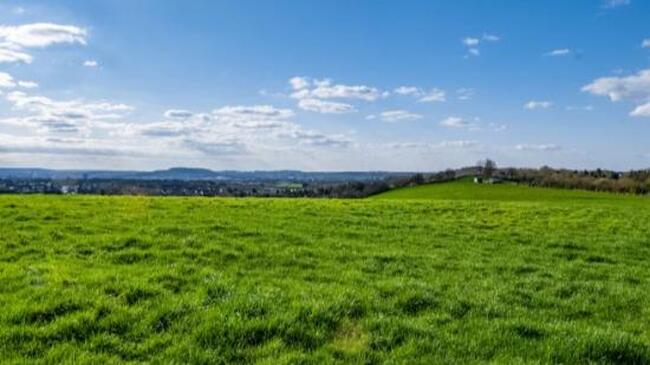 FAZENDA | 17.50.17 HECTARES | FAZENDA DOS FERROS - TRÊS CORAÇÕES/MG R$ 337.500,00