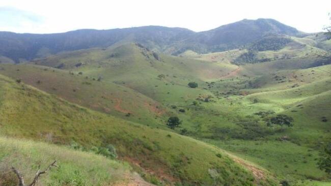 FAZENDA | 80 HECTARES | CABECEIRA GRANDE - UNAÍ/MG R$ 400.000,00